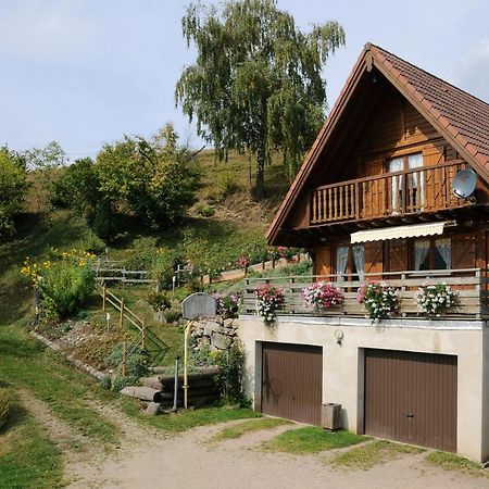 Chalet-Gite Berbuche Sainte-Croix-aux-Mines 外观 照片
