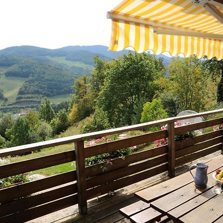 Chalet-Gite Berbuche Sainte-Croix-aux-Mines 外观 照片