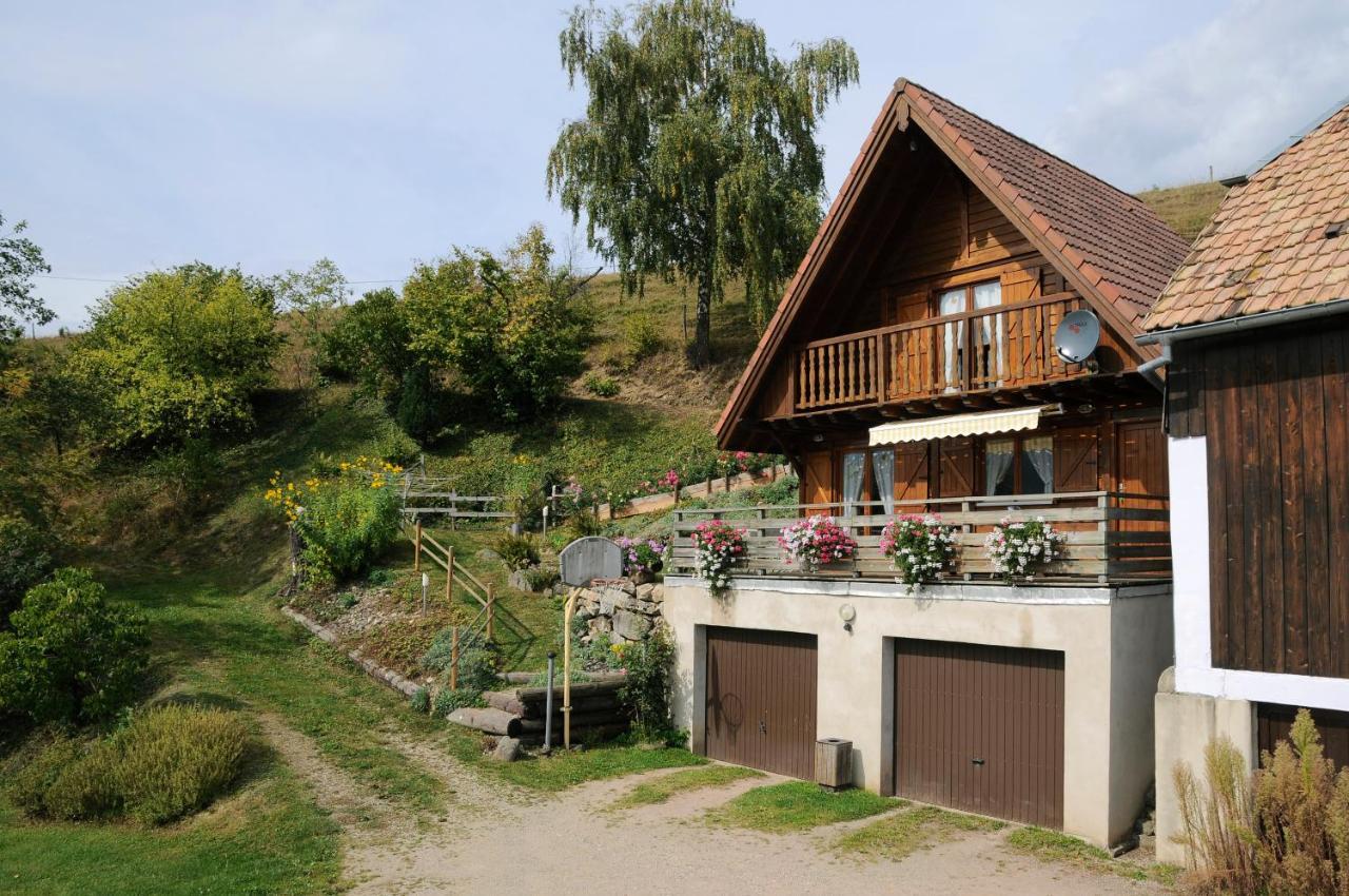 Chalet-Gite Berbuche Sainte-Croix-aux-Mines 外观 照片