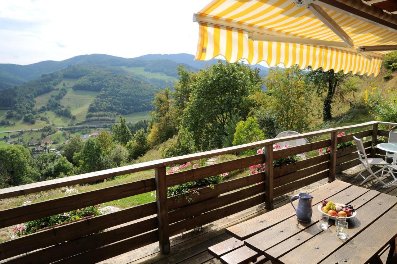 Chalet-Gite Berbuche Sainte-Croix-aux-Mines 外观 照片