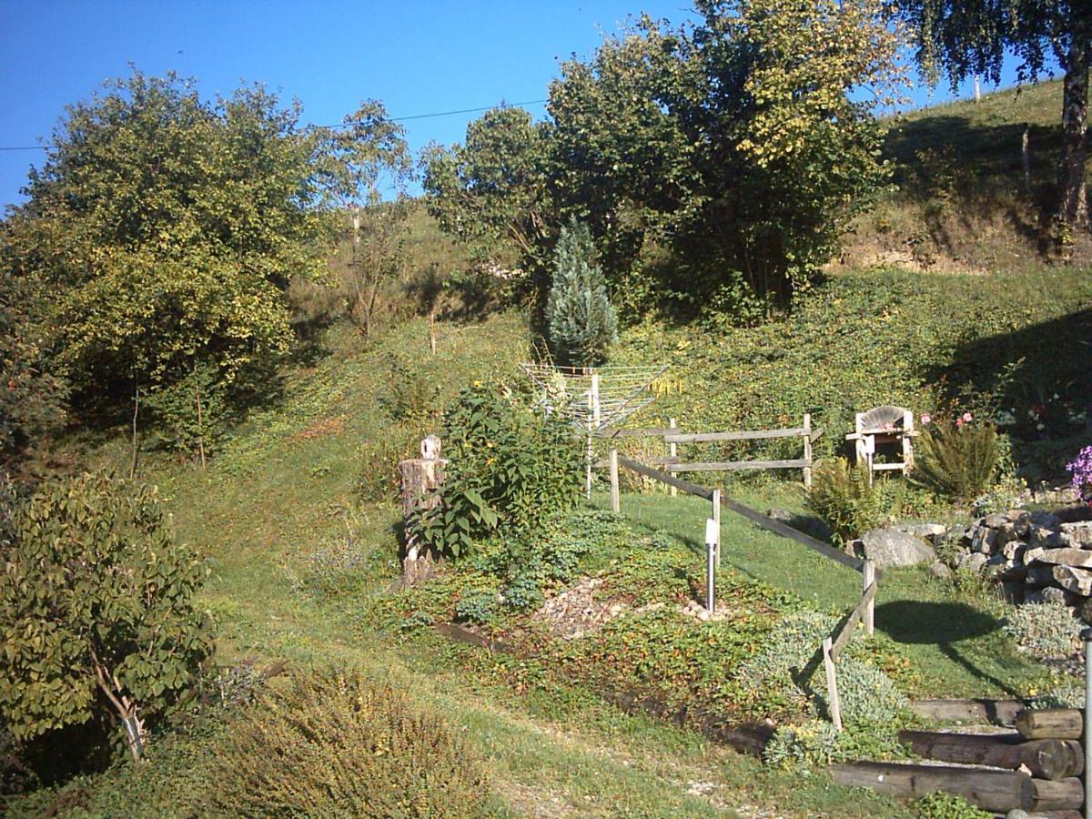 Chalet-Gite Berbuche Sainte-Croix-aux-Mines 外观 照片